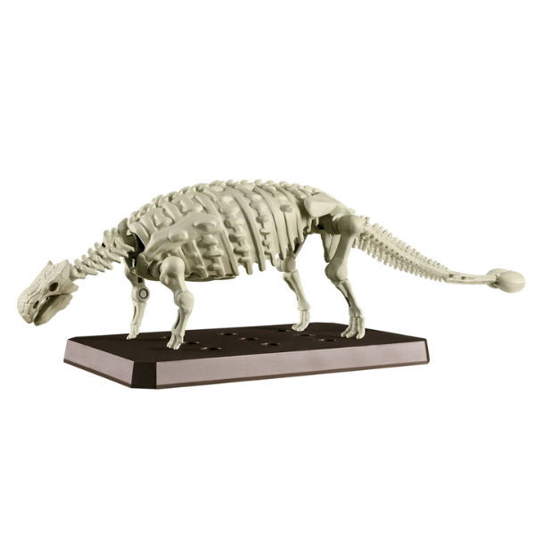 Gundam Express Australia Bandai Plannosaurus Ankylosaurus skeleton