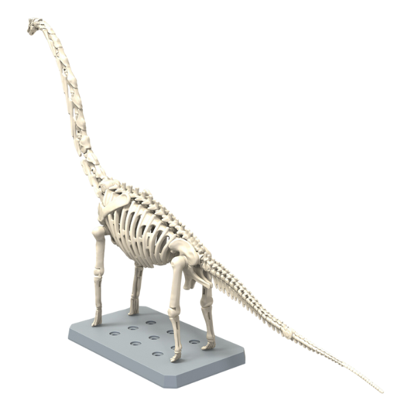 Gundam Express Australia Bandai Plannosaurus Brachiosaurus skeleton back