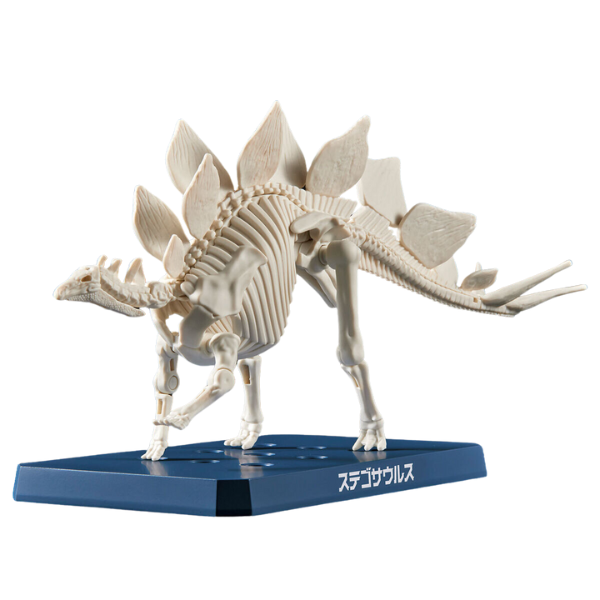 Gundam Express Australia Bandai Plannosaurus Stegosaurus Gundam Express Australia Bandai Plannosaurus Stegosaurus skeleton