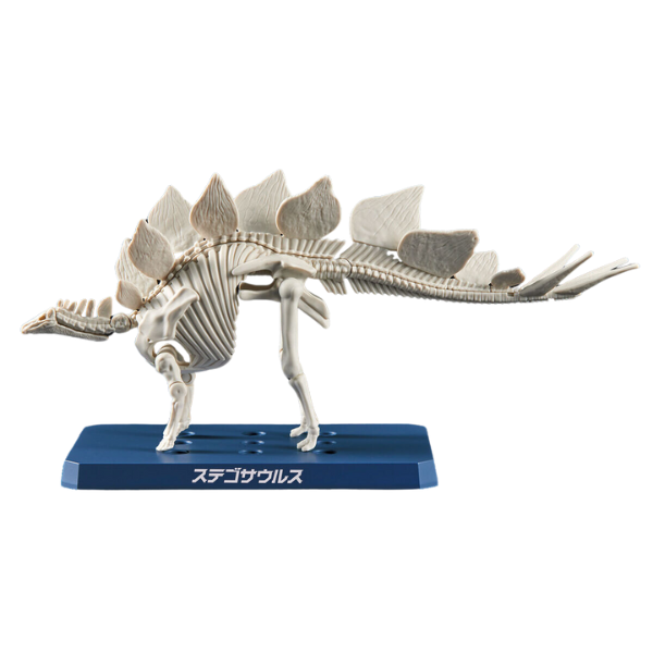 Gundam Express Australia Bandai Plannosaurus Stegosaurus skeleton 3