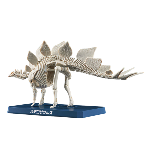 Gundam Express Australia Bandai Plannosaurus Stegosaurus skeleton 4