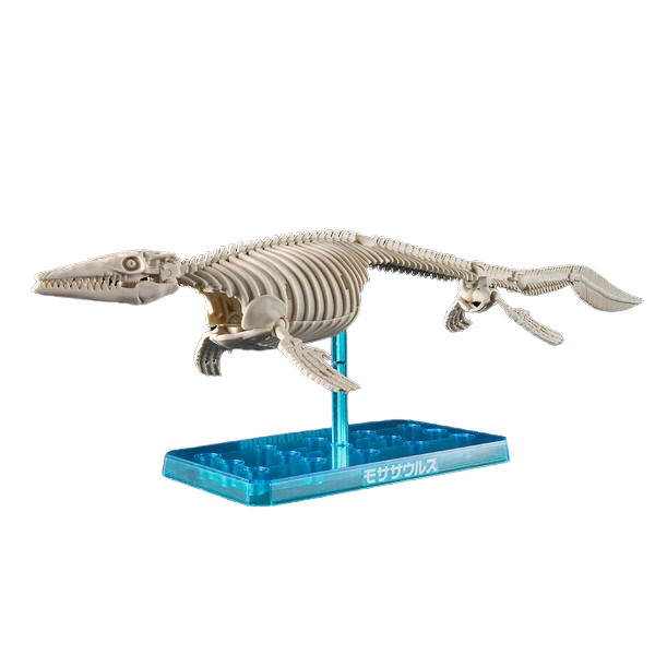 Gundam Express Australia Bandai Plannosaurus Mosasaurus skeleton 2