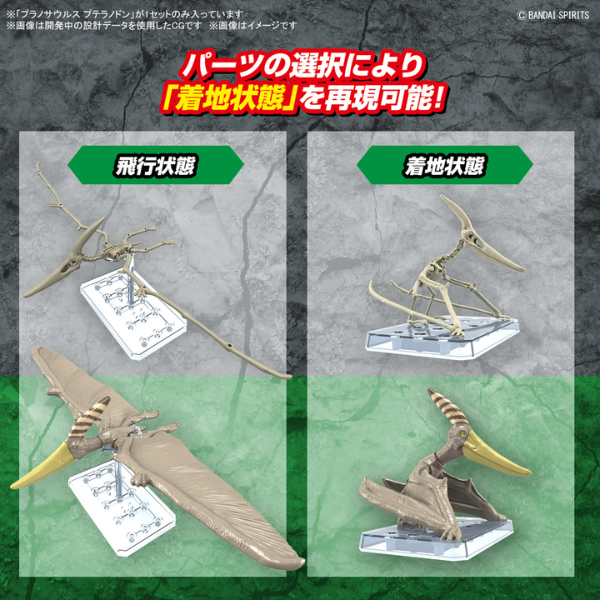 Gundam Express Australia Bandai Plannosaurus Pteranodon instruction 2