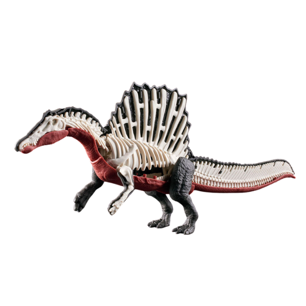 Gundam Express Australia Bandai Plannosaurus Spinosaurus assembly