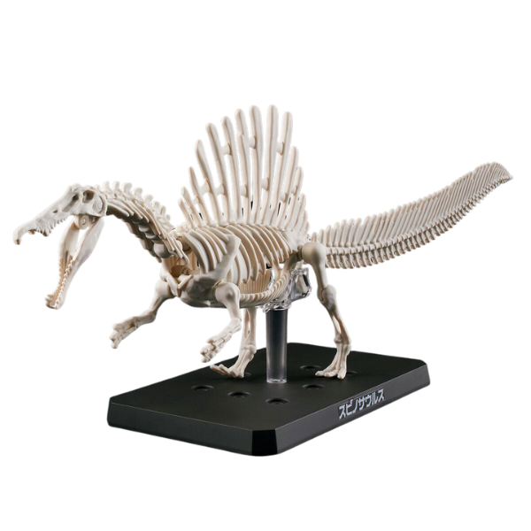 Gundam Express Australia Bandai Plannosaurus Spinosaurus skeleton 2