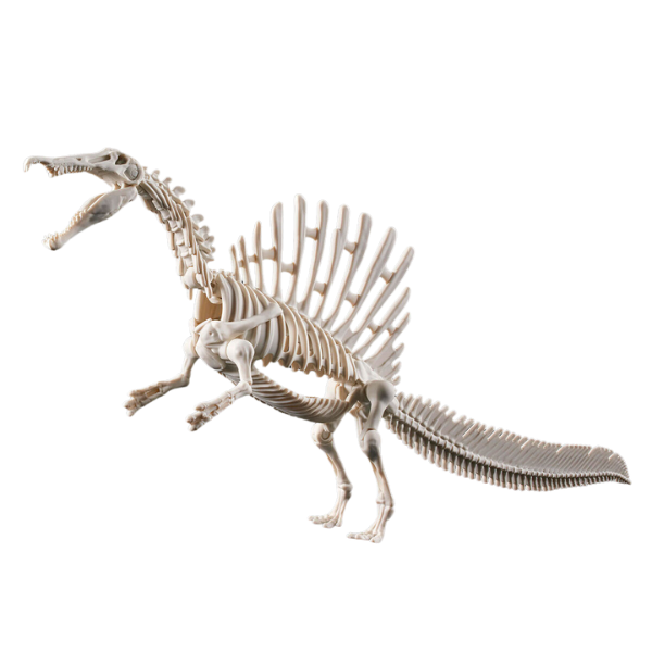 Gundam Express Australia Bandai Plannosaurus Spinosaurus skeleton 3