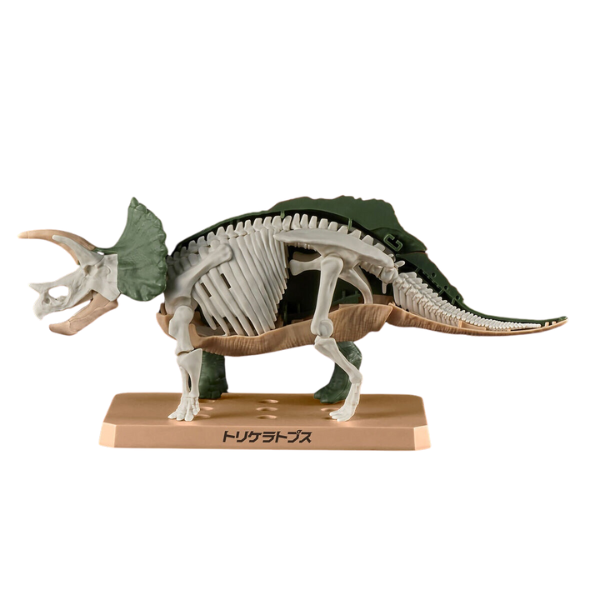 Gundam Express Australia Bandai Plannosaurus Triceratops  view on side skeleton