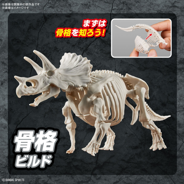 Gundam Express Australia Bandai Plannosaurus Triceratops  skeleton instruction