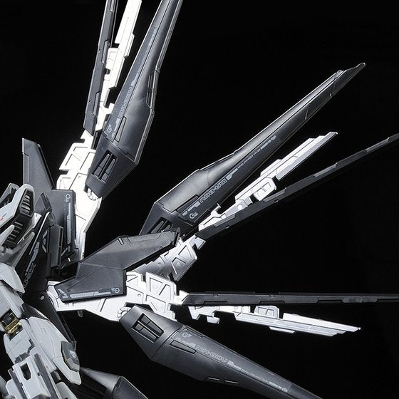 Gundam Express Australia P-Bandai 1/144 RG Strike Freedom Gundam Deactive Mode impressive wing close up