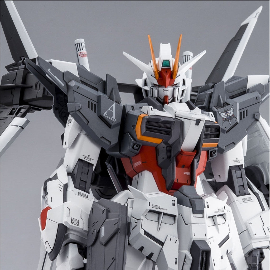 P-Bandai 1/100 MG Ex Impulse Gundam close up of upper body and face