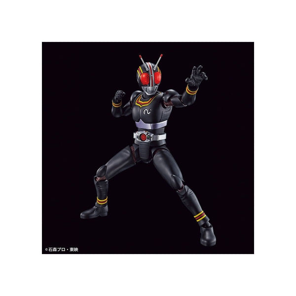 Bandai Figure Rise Standard Kamen Rider Black action pose 1