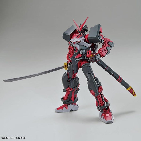 Bandai 1/144 HG GB Gundam Astray Red Frame Inversion with sword